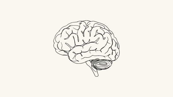 Rethink your training